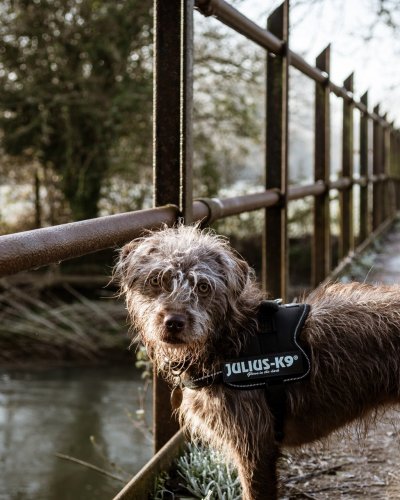 Photo by Jay Short on Unsplash