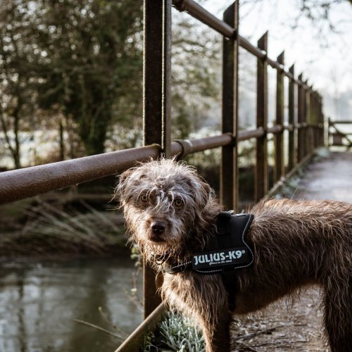 Photo by Jay Short on Unsplash