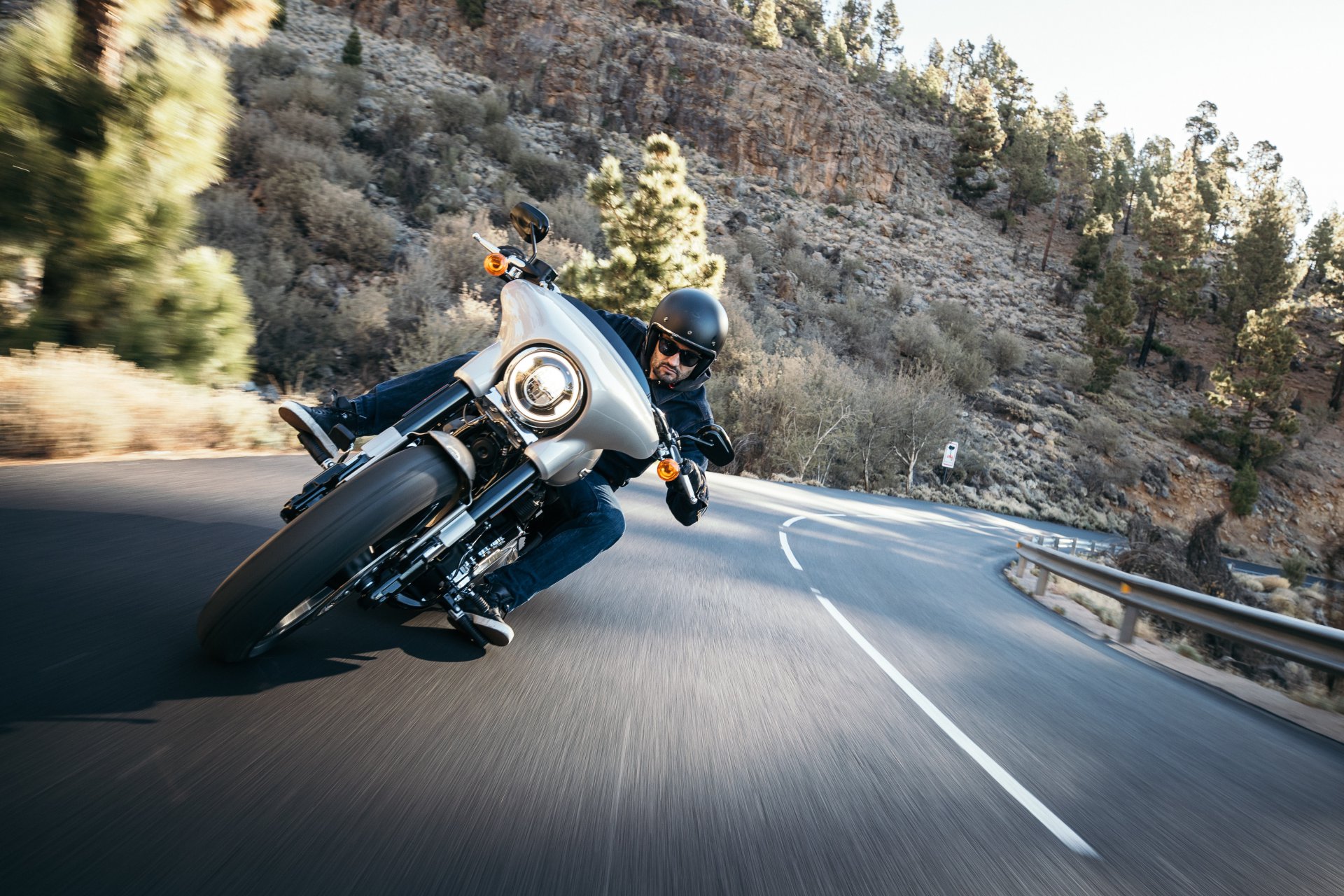 Photo by Harley-Davidson on Unsplash